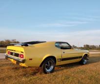 Ford Mustang Mach I Fastback 1972