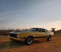 Ford Mustang Mach I Fastback 1972  Coupé V8 302ci