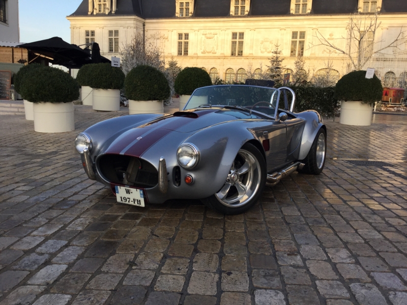Sculpture Résine Shelby AC Cobra Organique Par S0Larts - Echelle 1/24 - Signée, NEUVE