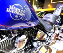 Harley Davidson Softail Standard FXST 1988